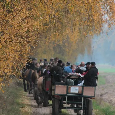 Affittacamere Nadwarcianski Dworek Mlodzikowo Miłosław