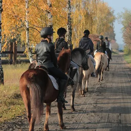 Affittacamere Nadwarcianski Dworek Mlodzikowo