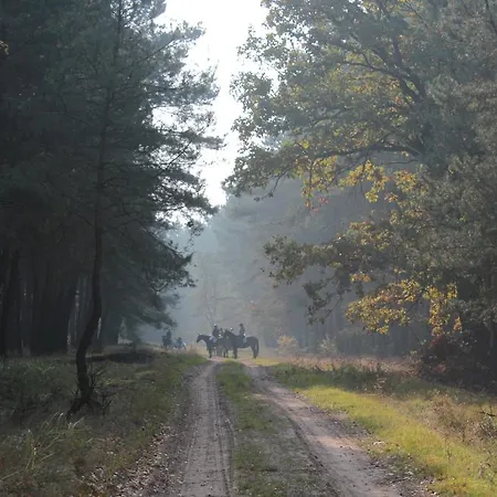 Affittacamere Nadwarcianski Dworek Mlodzikowo 3*