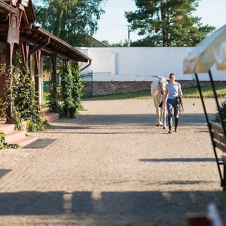 Affittacamere Nadwarcianski Dworek Mlodzikowo Miłosław